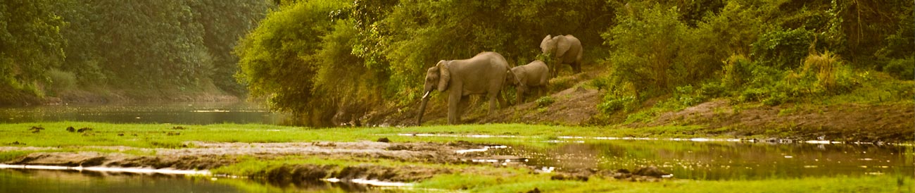 Lower Zambezi Adventure Holiday